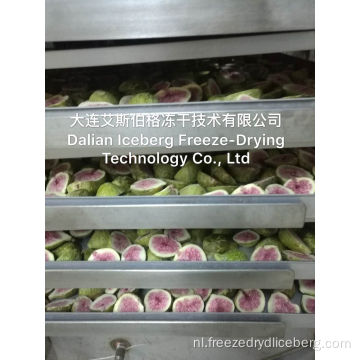Fig Freeze Droogmachine